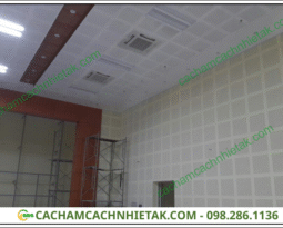 bong cach am ak poly ung dung cach am hoi truong bao lao dong (4)